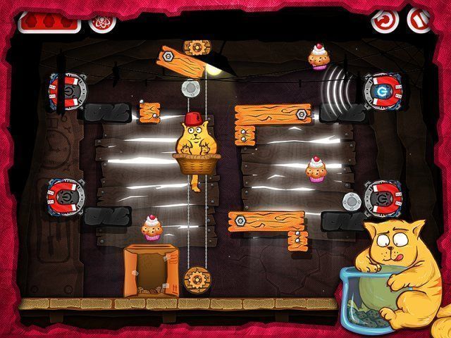 Кот на диете