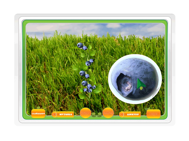 Играю с мамой. Ягоды