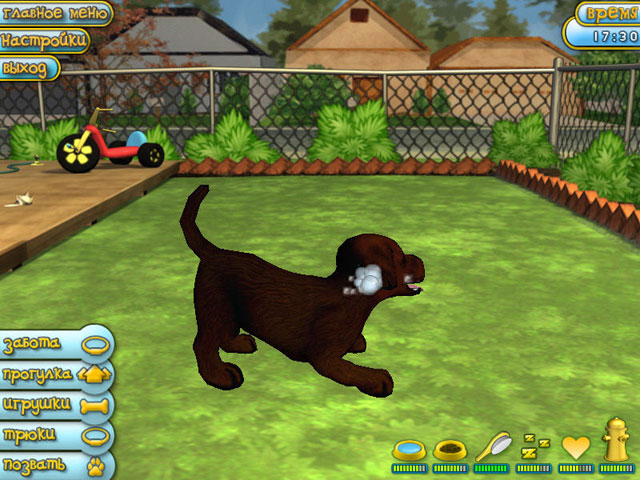 Четвероногие друзья. Мой щенок